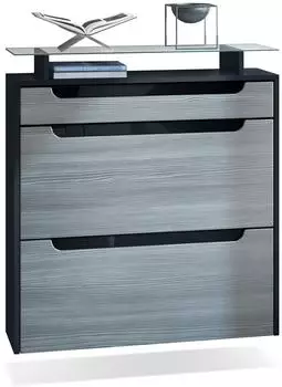Vladon Annie Schuhschrank, 2 Klappen, Schublade, schwarz matt/Avola-Anthrazit (50001832)