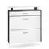 Vladon Malea Schuhschrank hängend, 2 Klappen, Schublade, LED, 89x96x23cm (50026245)