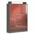 Vladon Lavia Schuhschrank mit 3 Klappen und Glasablage, anthrazit matt/bordeaux hochglanz (50028302)