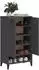 vidaXL Schuhschrank Viken anthrazit Holzwerkstoff (374925)