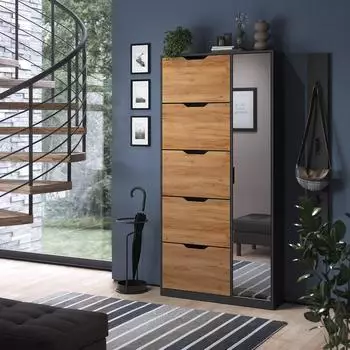 VICCO Schuhkipper Luca Anthrazit/Goldkraft Eiche, 5 Kippf&auml;cher & Spiegel, 90x180,5cm