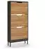 VICCO Luca Schuhkipper 3 Kippfächer, anthrazit/Goldkraft Eiche, 59x123cm (61420)