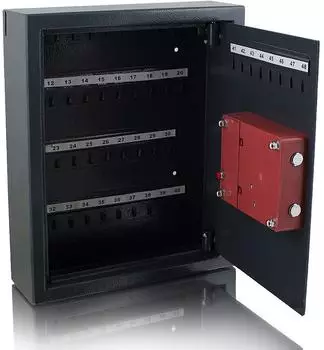 BITUXX Elektronischer Schl&uuml;sselsafe 48 Haken, grau (11391)