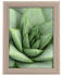 Goldbuch Toscana 15x20