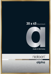 Nielsen Alpha 30x45 brushed amber
