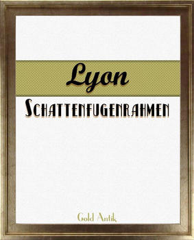 Homedeco-24 Lyon 55x65 gold