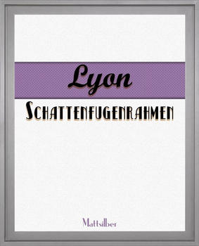 Homedeco-24 Lyon 60x80 silber