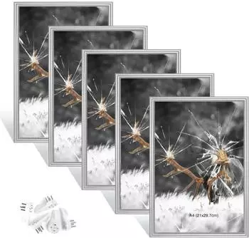 LuxusKollektion Bilderrahmen-Set A4, silber, Plexiglas, 5 St&uuml;ck (21x29,7cm)