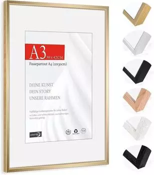 LuxusKollektion Bilderrahmen A3 (29,7x42cm) Aluminium champagnergold mit Passepartout A4 (bruchsicher)
