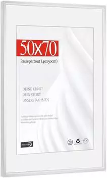 LuxusKollektion Bilderrahmen Aluminium silber 50x70cm mit Passepartout 40x50cm, Kunstglas