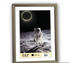 bronze: ZEP Kunststoffrahmen New Easy 10x15
