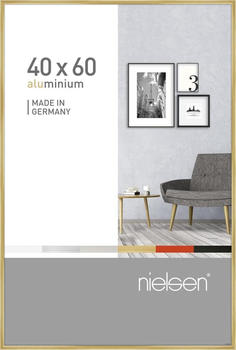 Nielsen Pixel 40x60 gold