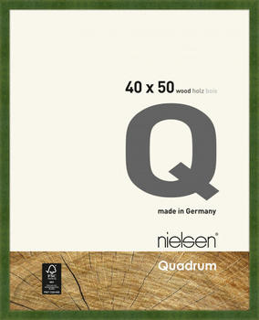 Nielsen Quadrum 40x50 grün
