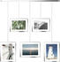 Umbra Exhibit Foto Collage Edelstahl Chrom