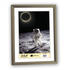 ZEP Kunststoffrahmen New Easy 13x18