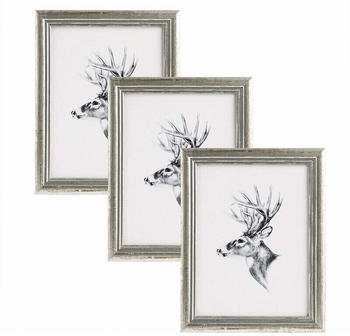Woltu 3x Fotorahmen Artos Stil 40x50 silber