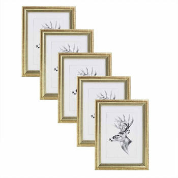 Woltu GmbH Woltu 5x Fotorahmen Artos Stil 40x50 gold