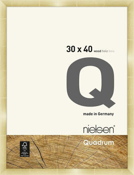 Nielsen Quadrum 30x40 gold