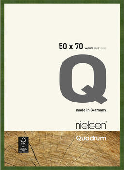 Nielsen Quadrum 50x70 grün
