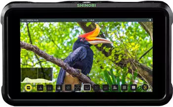 Atomos Shinobi 5"