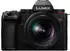 20 - 60, 3,5, mit Objektiv, Weitwinkelzoom: Panasonic Lumix DC-S5II