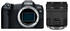 24 - 105, 4, mit Objektiv, Universalzoom: Canon EOS R8