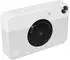 Kodak Printomatic grau