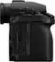 Panasonic S1 RII