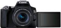 Canon EOS 250D Kit 18-55 mm IS STM schwarz