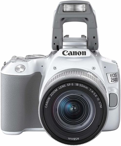 Ausstattung & Display Canon EOS 250D Kit 18-55 mm IS STM weiß