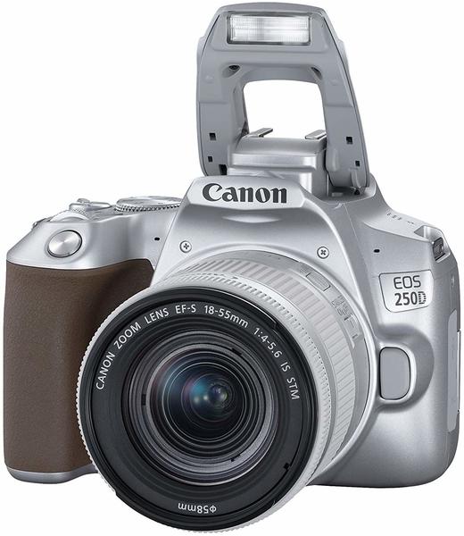 Konnektivität & Video Canon EOS 250D Kit 18-55 mm IS STM silber