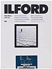 Ilford HAR1180464, Ilford Multigrade RC Deluxe (190 g/m², 13 x 18 cm, 25 x),