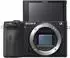 Sony Alpha 6600 Body