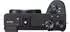 Sony Alpha 6600 Body