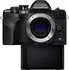 Olympus OM-D E-M10 Mark IV Body schwarz