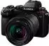 20 - 60, 3,5, mit Objektiv, Standardzoom: Panasonic Lumix DC-S5