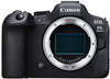 Canon EOS R6 Mark II Body, spiegellose Systemkamera, 7,5 cm Display Touchscreen, Canon EOS R6 Mark II Body, spiegellose Systemkamera, 7,5 cm Display Touchscreen,
