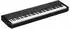 schwarz: Yamaha P-525