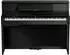 Roland Roland LX-5 PE
