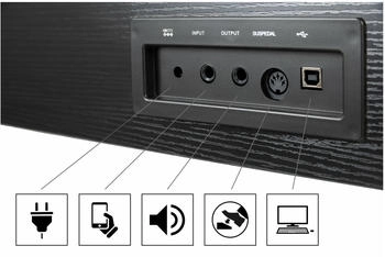 Classic Cantabile Digitalpiano DP-220 schwarz-matt – Vielseitige Klanggestaltung für kreative Musiker
