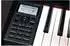Steinmayer DP-361 RW