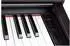 Steinmayer DP-361 RW