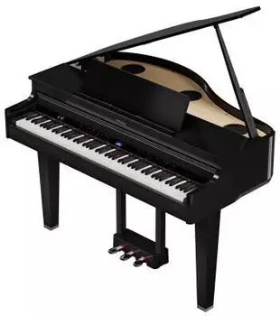 Roland GP-6 schwarz Hochglanz