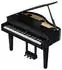 Roland GP-6