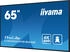 iiyama ProLite LH6560UHS-B2AG