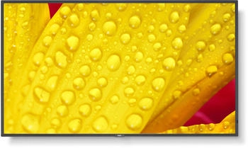 NEC MultiSync M651-2 Digital Signage Display 65" LED 4K UHD 500 cd/m&sup2; Schwarz (60006086)