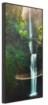 Hisense 55WH80F High Brightness Display 55"