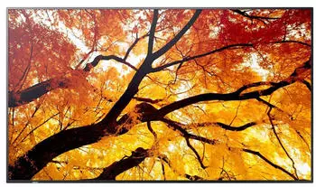 Sharp MultiSync M552 Digital Signage Display 55" (60006055)