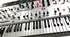 Acustica Audio Alice-9