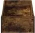 vidaXL LP Plattenbox Räuchereiche, Holzwerkstoff, 37x33x32cm